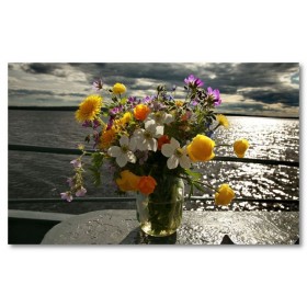 Αφίσα (λουλούδια, χρώμα, λουλούδια, φύση)